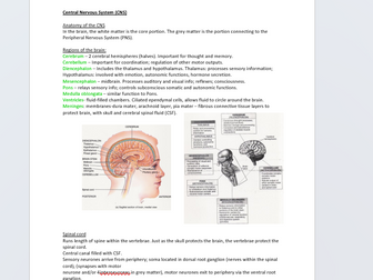 Nervous system