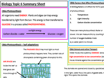 Edexcel Biology CB6 Revision Summary Worksheets