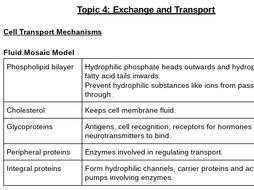Edexcel AS Biology Topic 4 Exchange and Transport