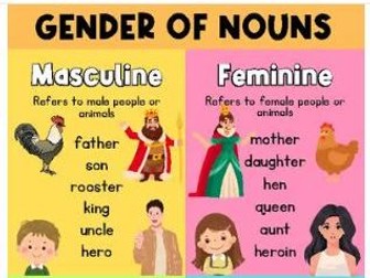 Gender Of Nouns | Poster, Printable, Anchor Chart