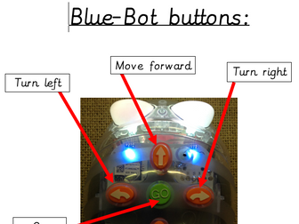 Bluebot display