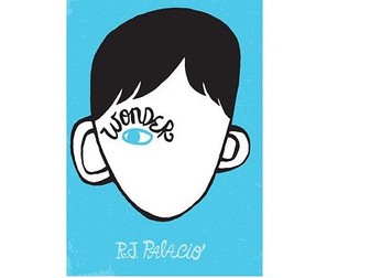 4 Week Unit: Wonder Year 6