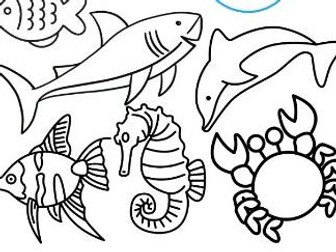 Ocean animals - fact file, colouring and counting