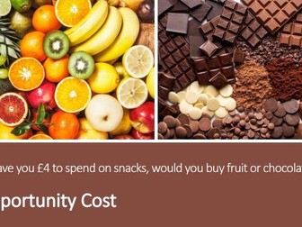 Opportunity Cost (Edexcel A Level Business 1.5.5)