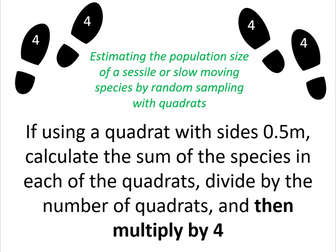 Estimating population size (AQA A-level Biology)