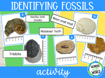 KS2 fossil identification matching activity photo cards with labels and answers