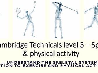 CTECH Level 3 Unit 1 Skeletal System