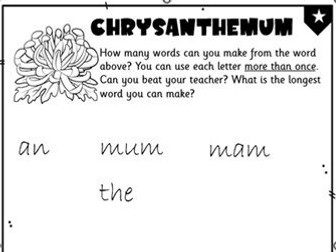 Chrysanthemum Spelling Challenge