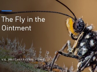 The Fly in the Ointment by VS Pritchett