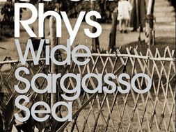 Genre in Wide Sargasso Sea
