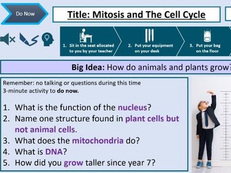 GCSE Mitosis and The Cell Cycle Lesson