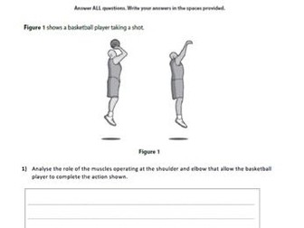 Assessment for Movement Analysis