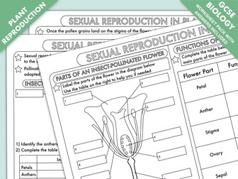 GCSE Biology: Plant Reproduction Worksheet Pack