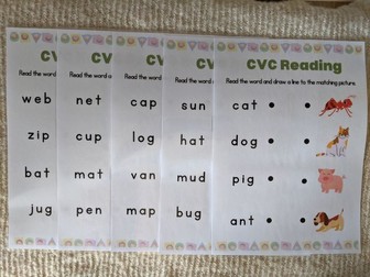 CVC Words and Picture Match Early Reading Activity