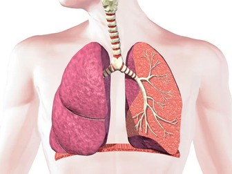 GCSE PE || Respiratory System - Work-book & PowerPoints