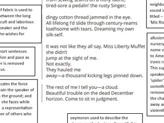 miz rosa rides the bus poem with notes