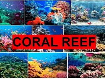 Coral Reef