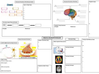 AQA GCSE Psychology Brain & Neuro Graphic Organiser A3