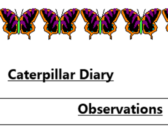 Caterpillar diary