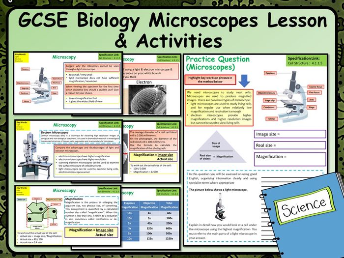 KS4 AQA GCSE Biology (Science) Microscope Lessons | Teaching Resources