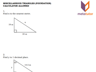 Metatutor Miscellaneous Triangles (Foundation) Worksheet