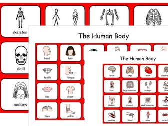 The Human Body - Facial features, Organs, Skeleton - 3 Symbol Sheets - SEN and Lower Ability