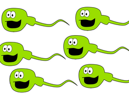 Green Sperm: Addressing a Misconception When Pupils Thought That Sperm Contained Chloroplasts!