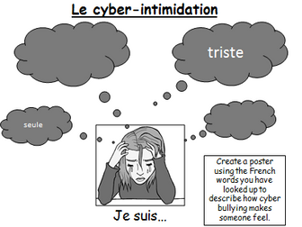 Cyber bulling / Le cyberintimidation