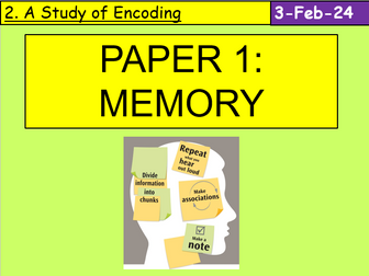 AQA GCSE Psychology: Paper 1 - Memory BUNDLE