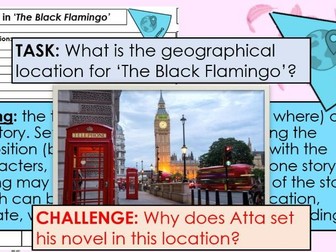 The Black Flamingo - L12: What is the Setting of The Black Flamingo?