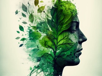 Art and Wellbeing - A theraputic scheme of work