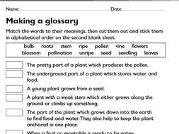 year 2 english literacy explanation texts glossary linked to life