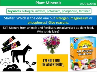 Plant Minerals