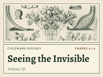 Microscope Biology Lesson: Magnification and Scale Activity