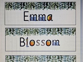 Read Write Inc Name Cards