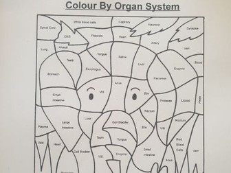 Colour by Organ System