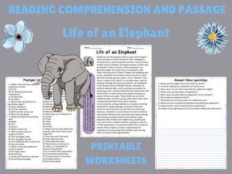 Discovering Elephants: Engaging Reading Passage & Thought-Provoking Questions