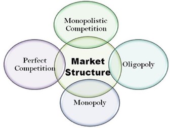 Cambridge iGCSE Economics - 3.7 Types of markets