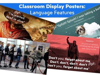 Classroom Display Posters: Language