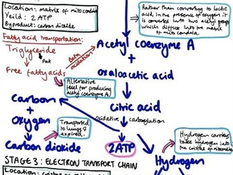 Aerobic energy system