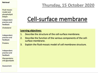 AQA Biology Cell-surface membrane