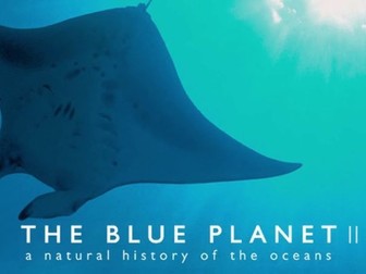 Blue Planet 2 - Full Activity Book (32 pages)