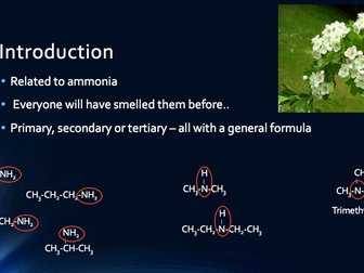 A2 Nitrogen Compounds Presentation