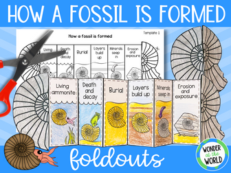 How a fossil is formed foldable sequencing activity KS2