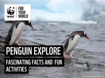 All about Penguins - WWF Explore Activity Poster