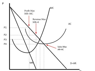 Cambridge A Level Economics - 7.8 Differing objectives and policies of firms