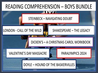 READING COMPREHENSION - BOYS' BUNDLE