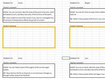 WWW EBI Feedback Generator Form - For Students to Respond to Teacher Feedback