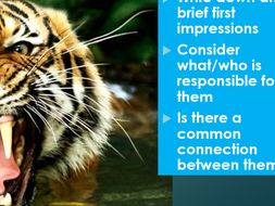 what does the tyger symbolize