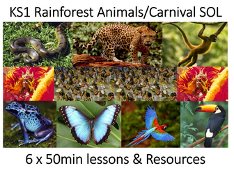 KS1 Dance - Rainforest Animals/Carnival SOL